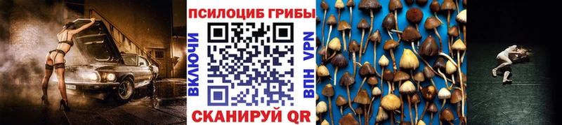 купить Нижнеудинск Галлюциногенные грибы GOLDEN TEACHER
